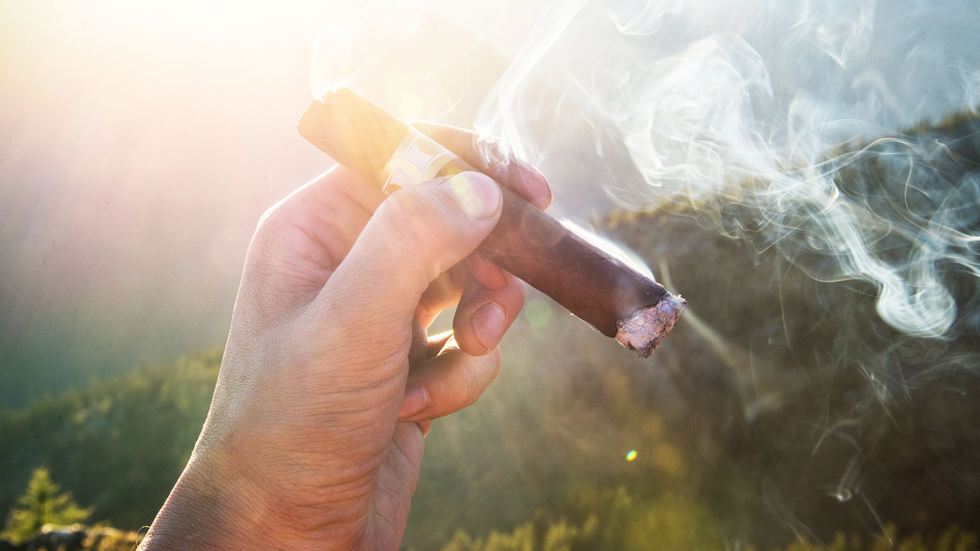 Habanos hero asset