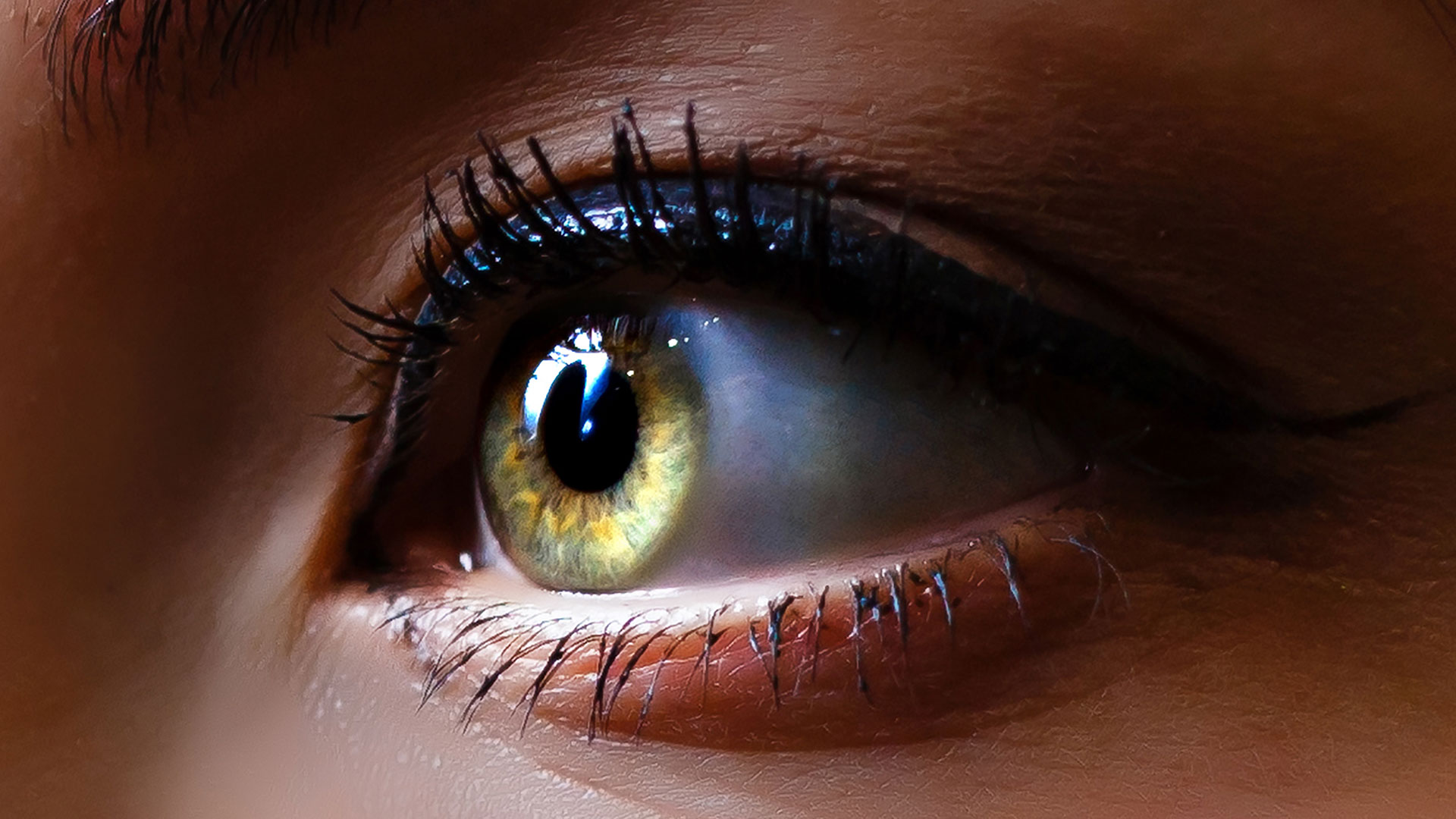 Cejas pobladas para labios rojos hero asset