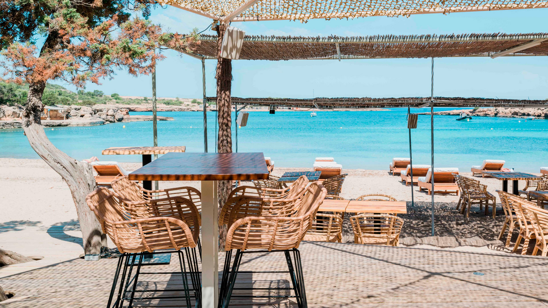 Imagen de Alma Beach en Ibiza