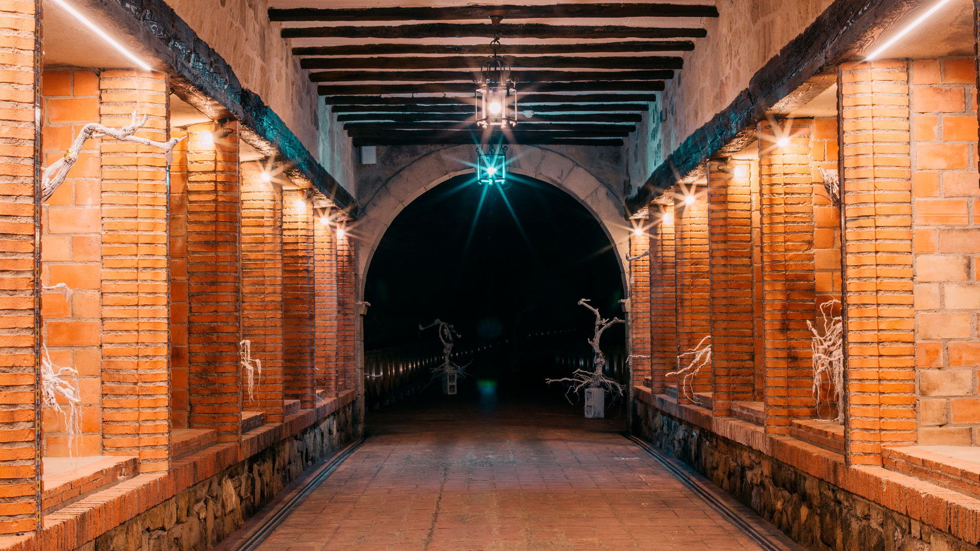 Imagen del interior de la Bodega Carlos Moro