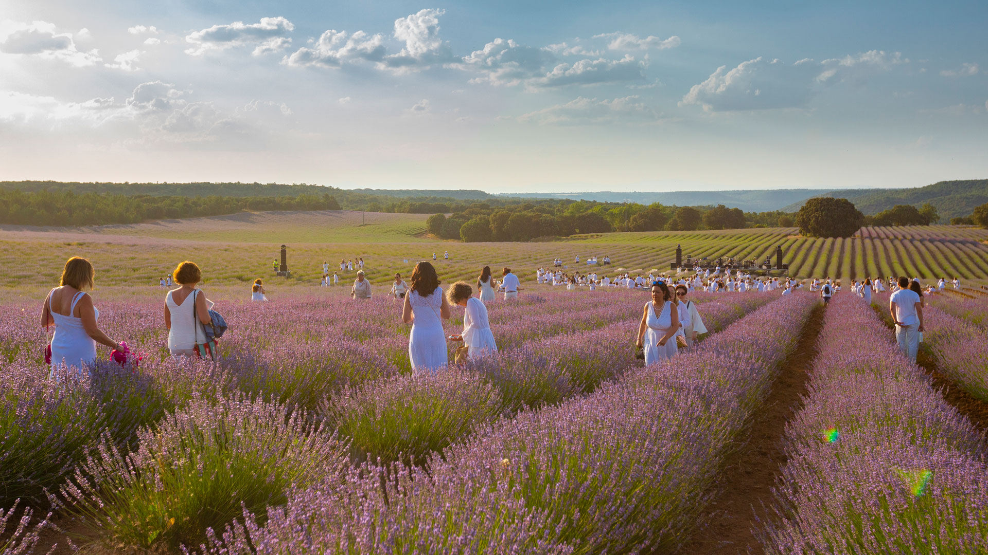 Imagen del Festival de la Lavanda de Brihuega