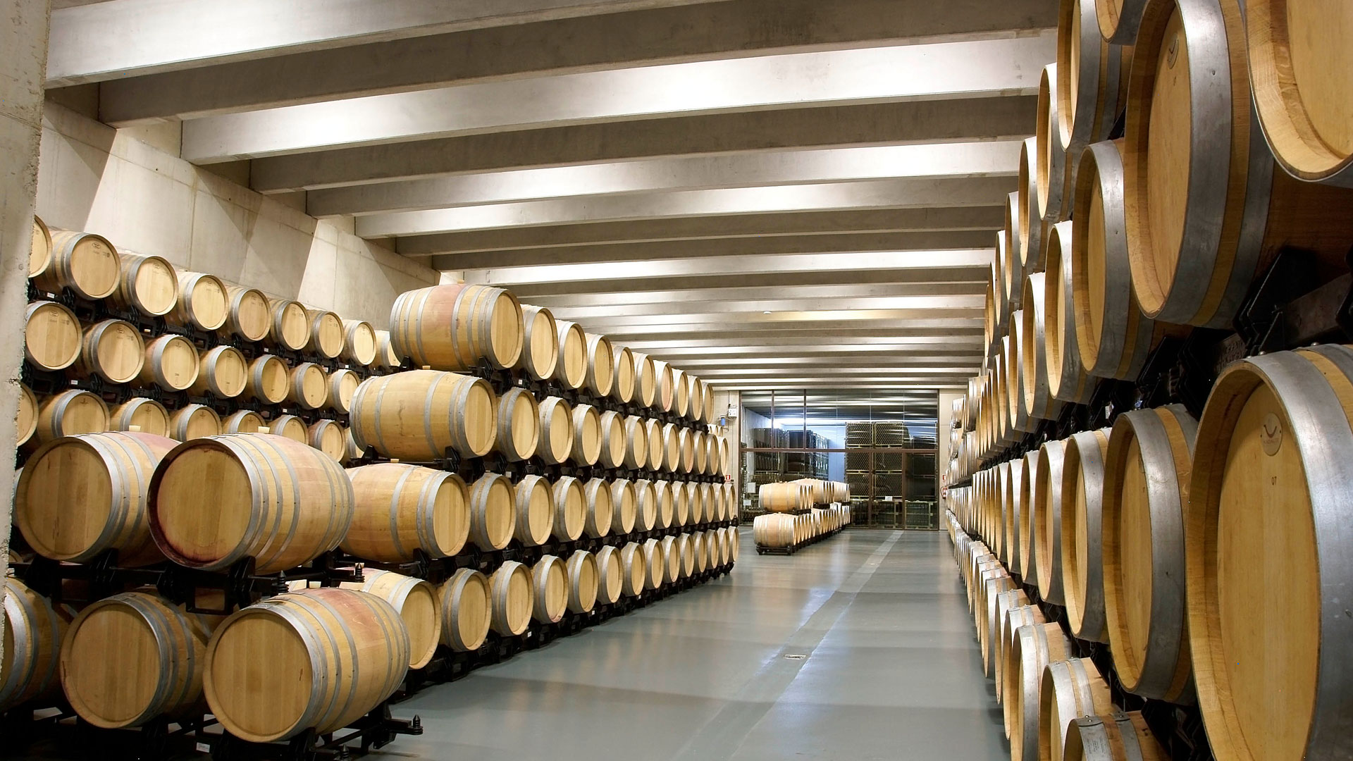Imagen de la bodega Finca Losada