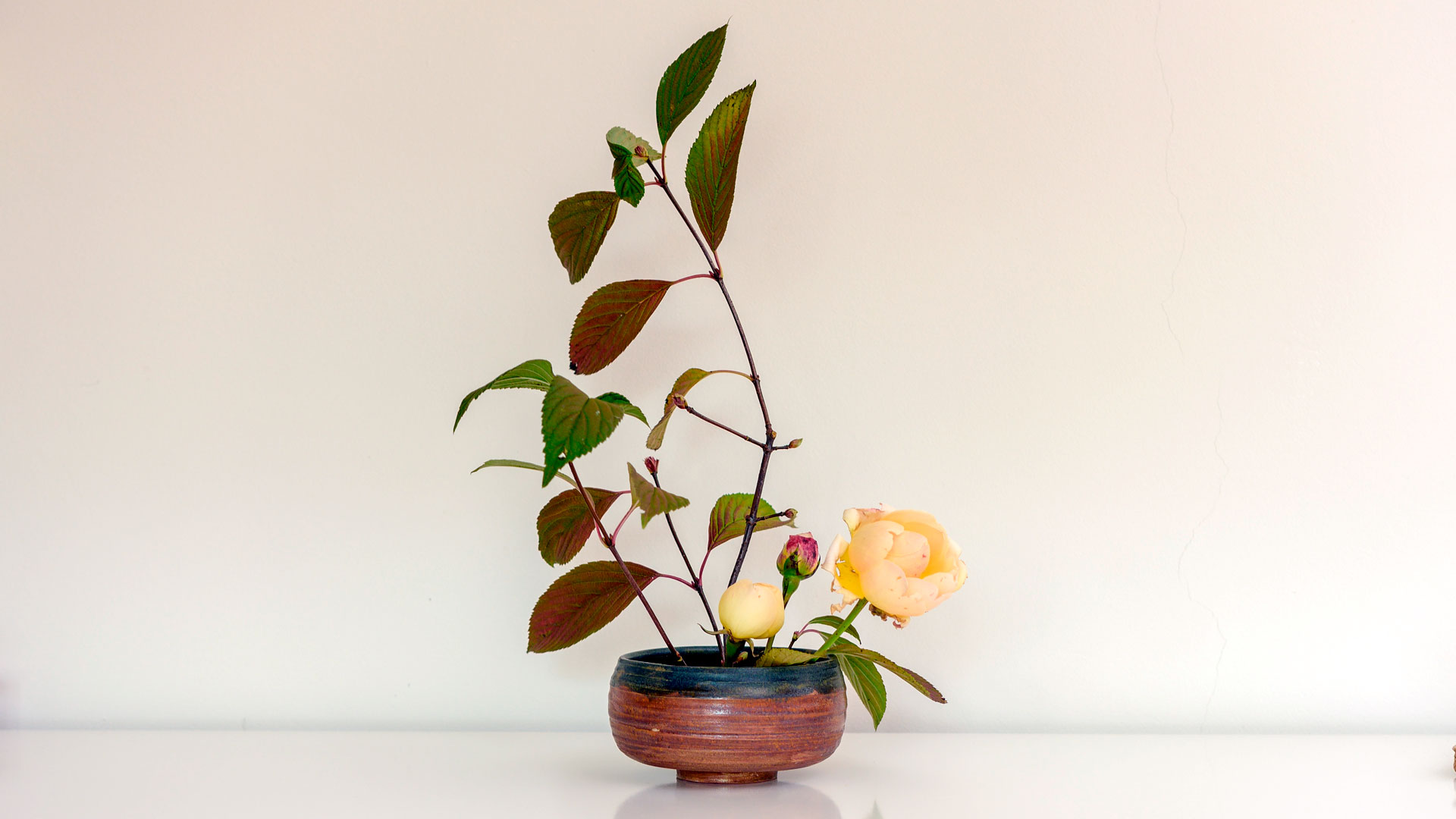 Los secretos del Ikebana hero asset