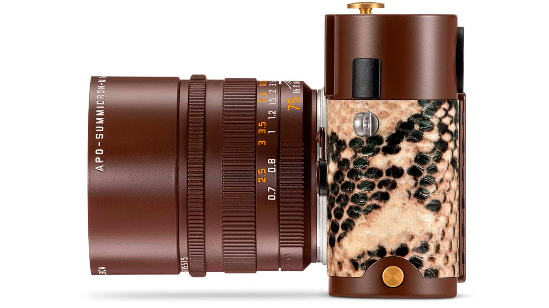 Imagen de la cámara Leica diseñada por Lenny Kravitz