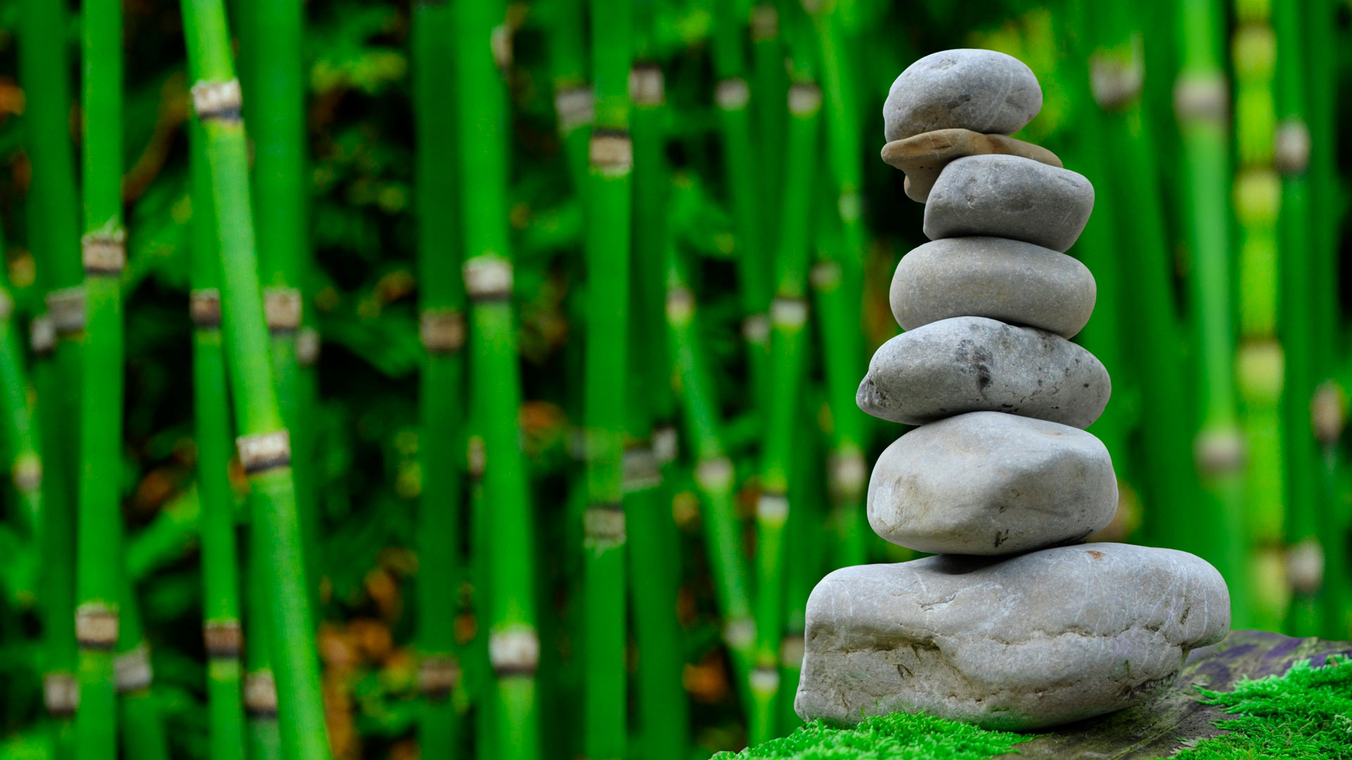 Beneficios de la meditación diaria hero asset