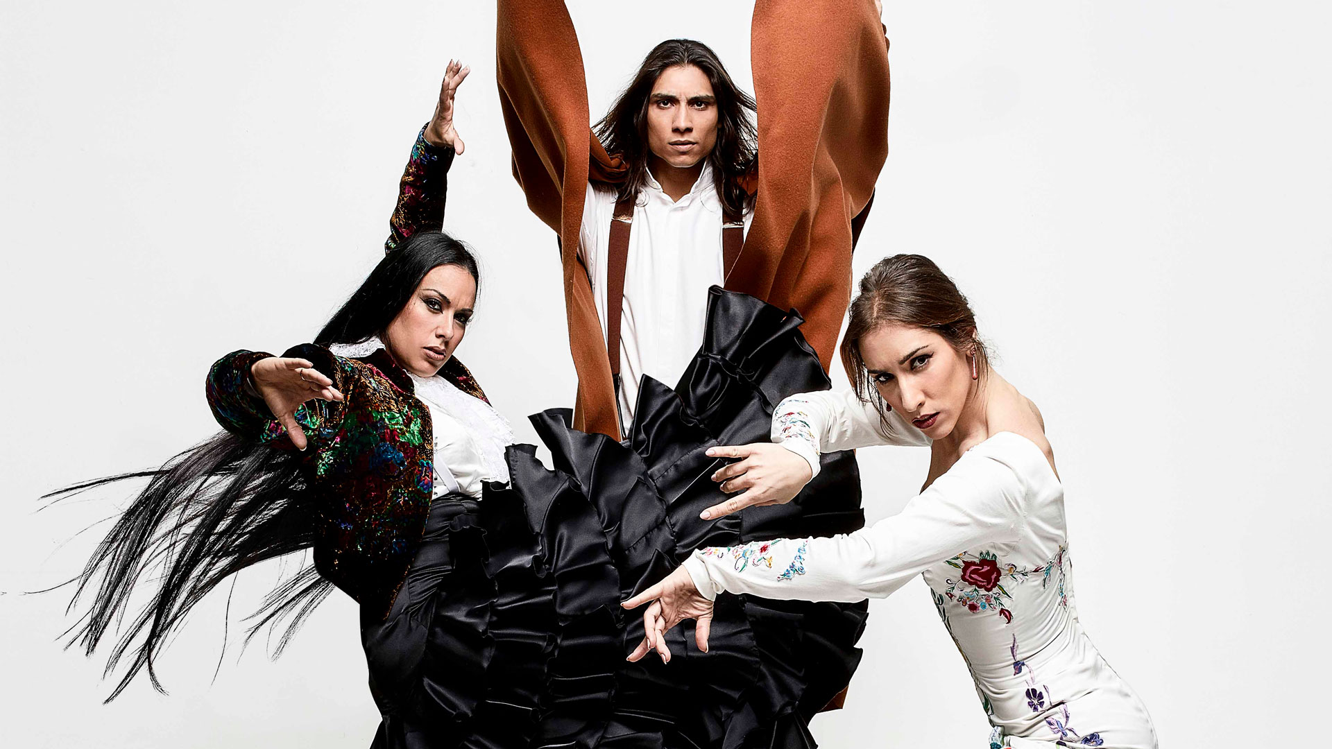 La vanguardia del flamenco hero asset