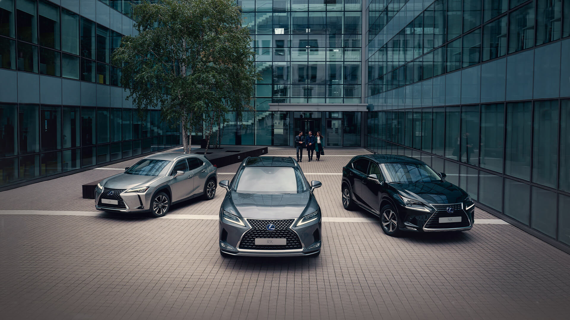 Lexus business contract hire hero
