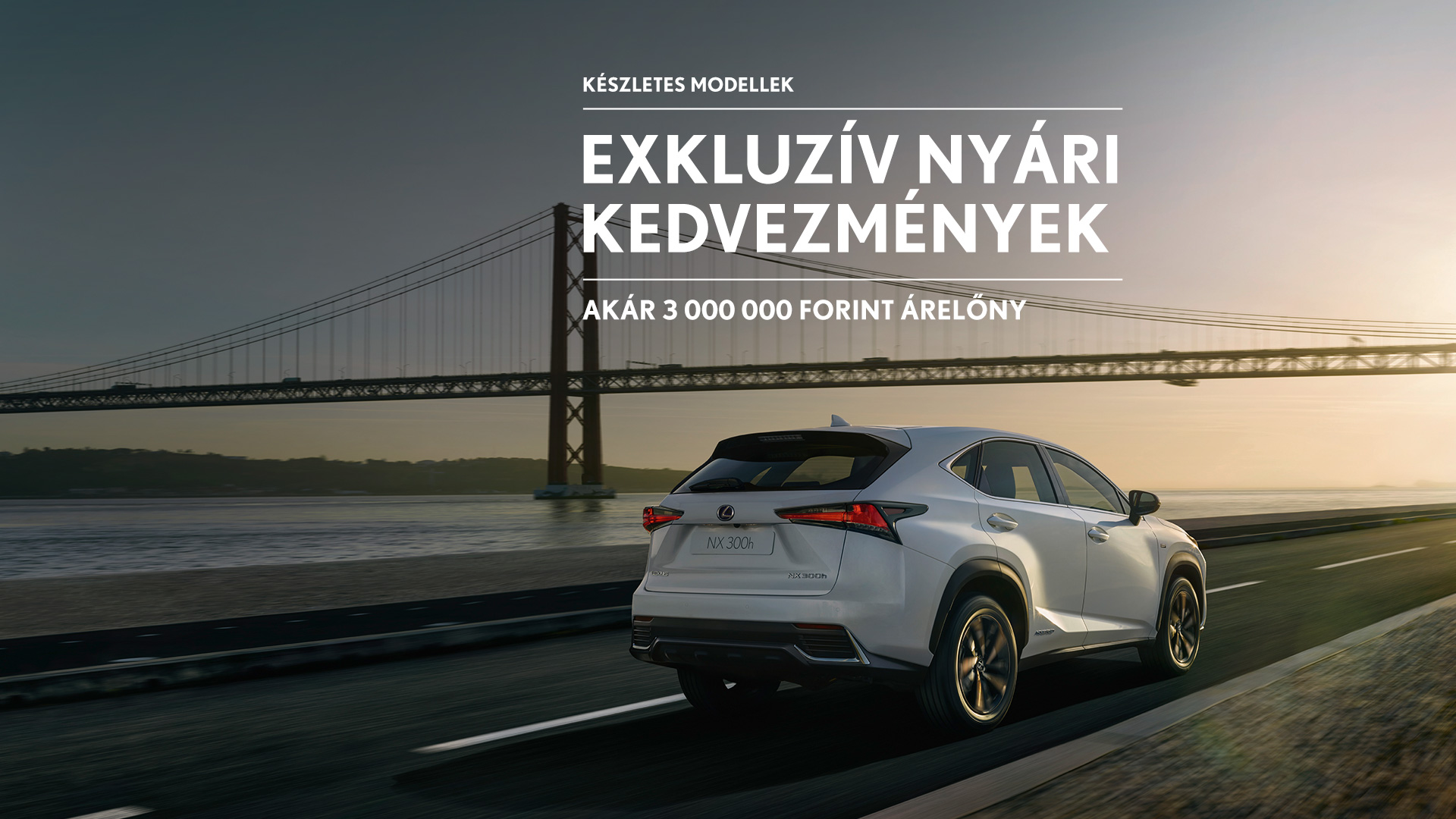 Premium SUV NX Hero