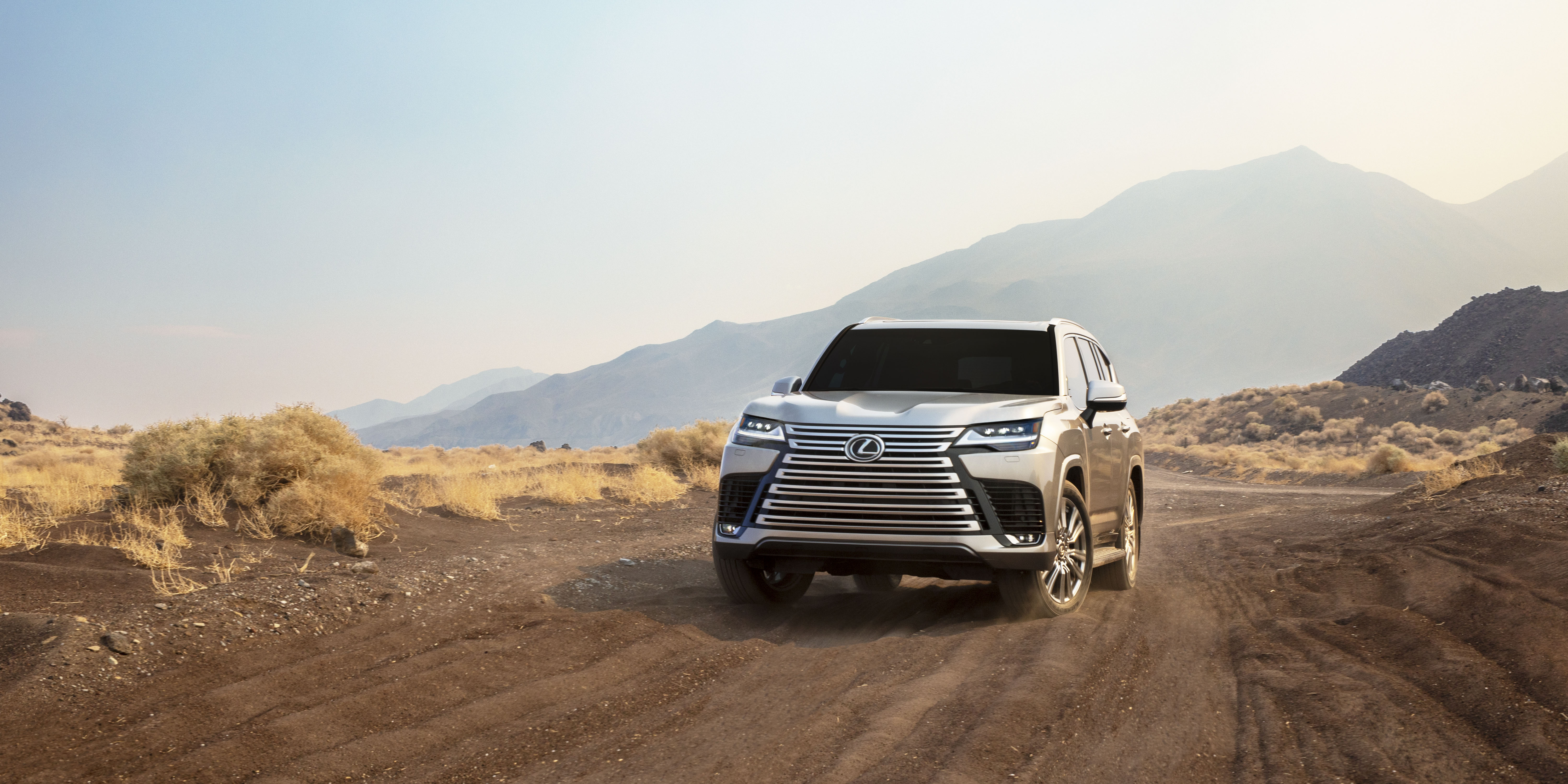 lx image 4
