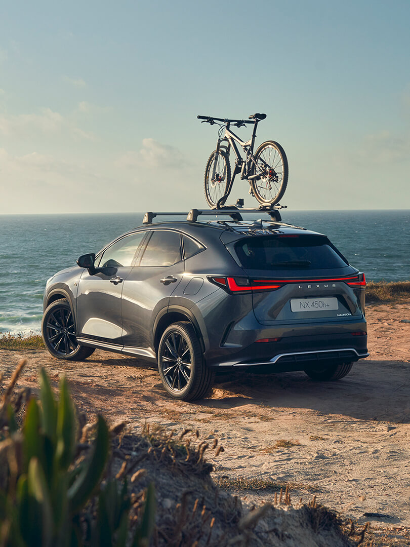 2021 lexus ngnx reducing costs