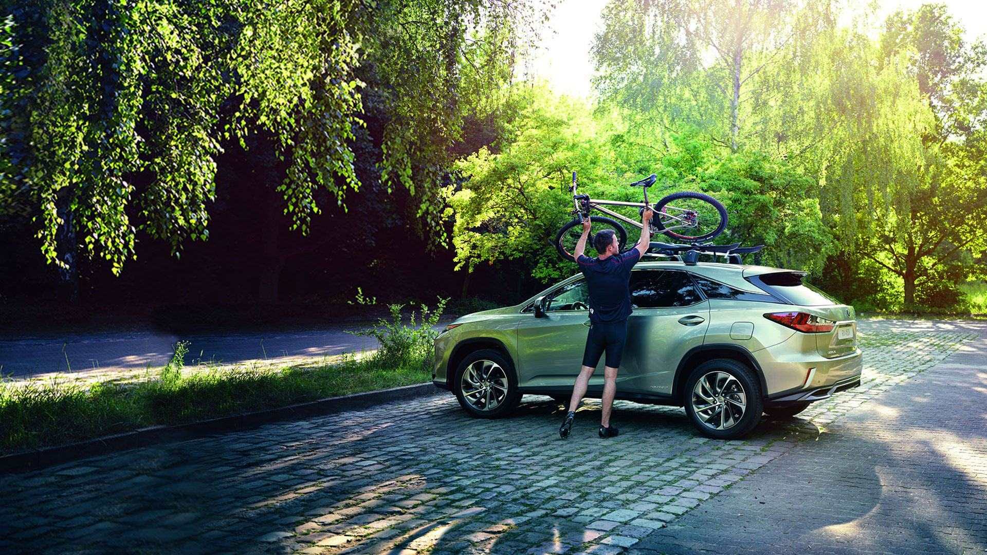 2017 lexus rx 450h accessories
