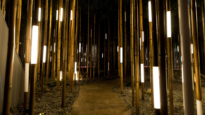 gallery09