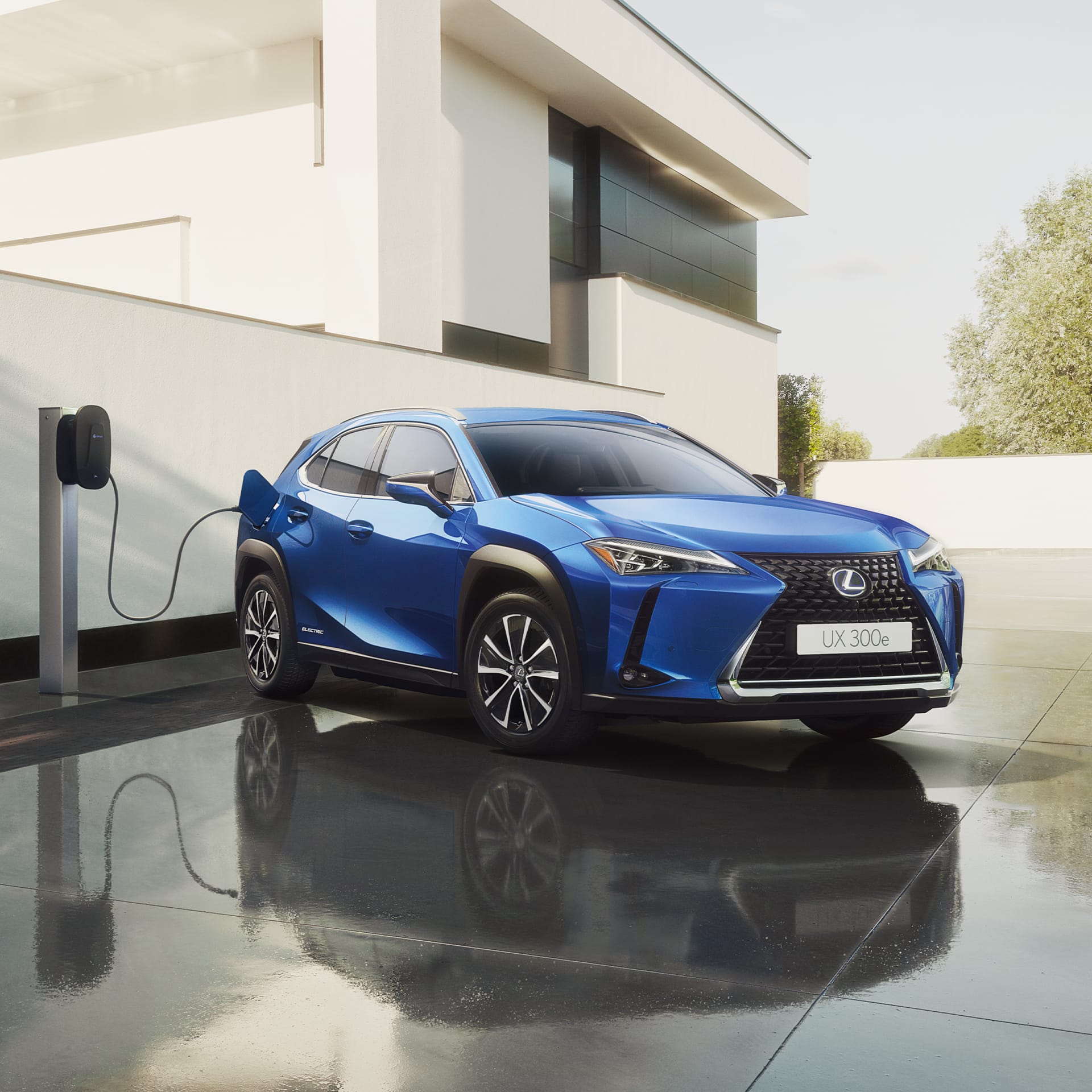 Vit Lexus UX 250h F SPORT 2019