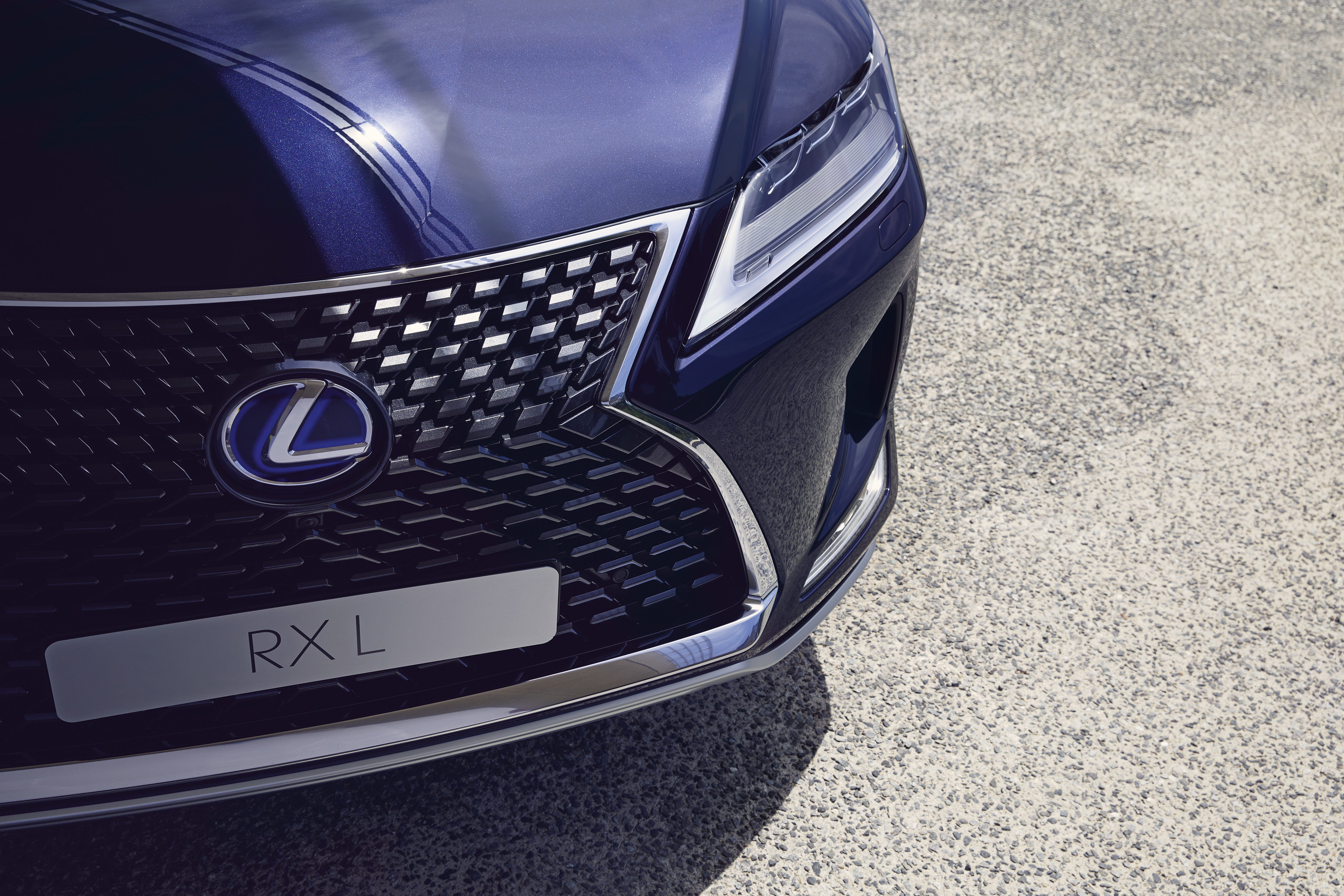 2020 rx450hl luxury 3 991429 1