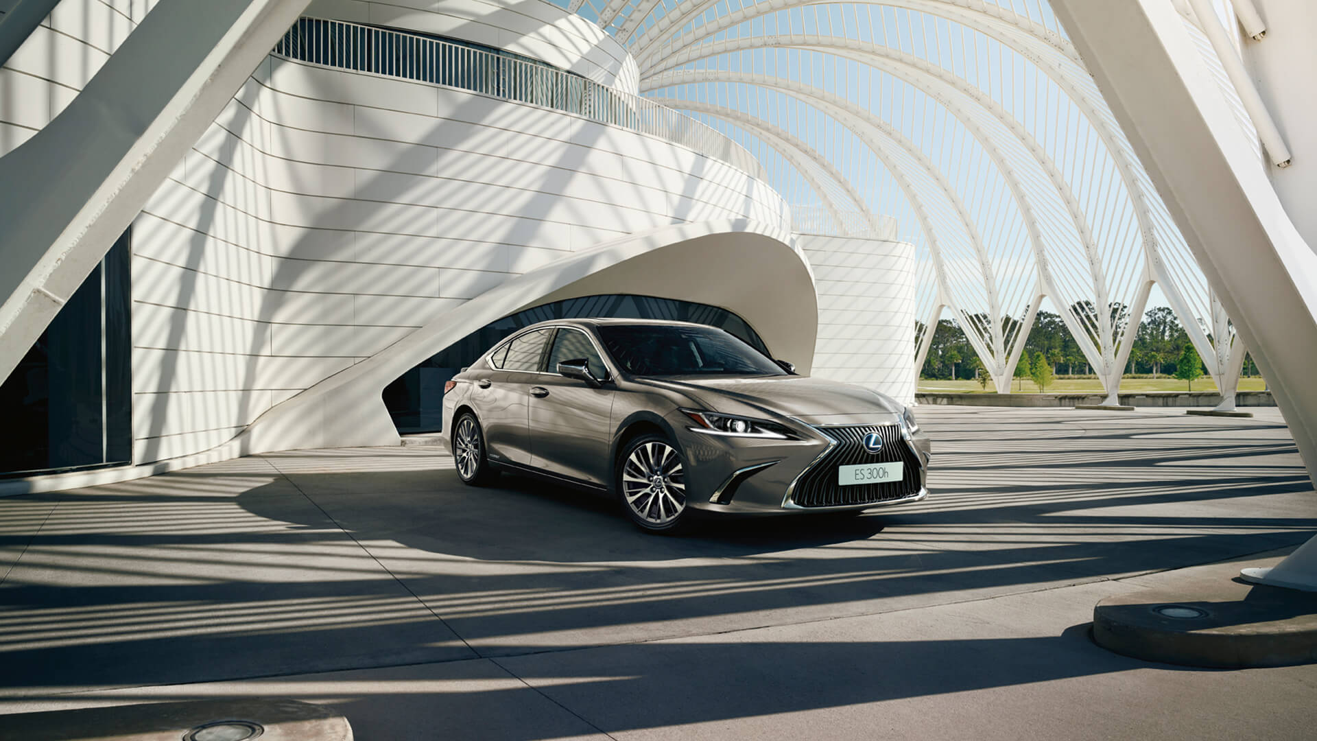 2020 es special edition 03