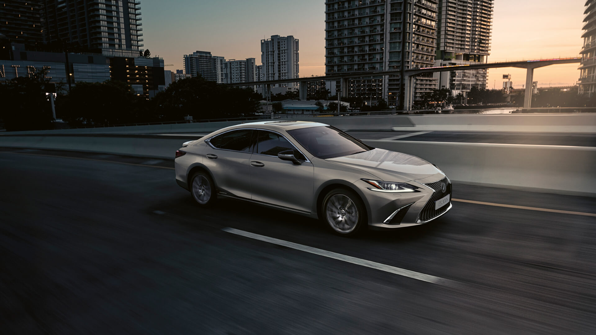 2020 es special edition 04